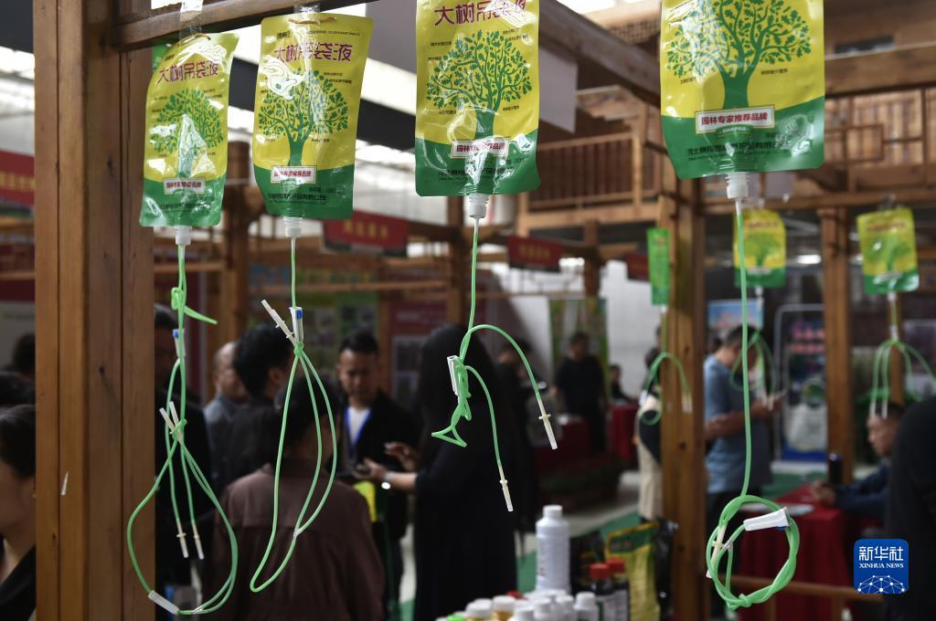 皇冠同级别